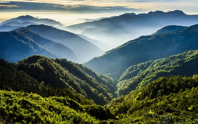 檜山坊 Kuai Shan Fang︱台灣最頂級的檜木香氛，把森林帶回家