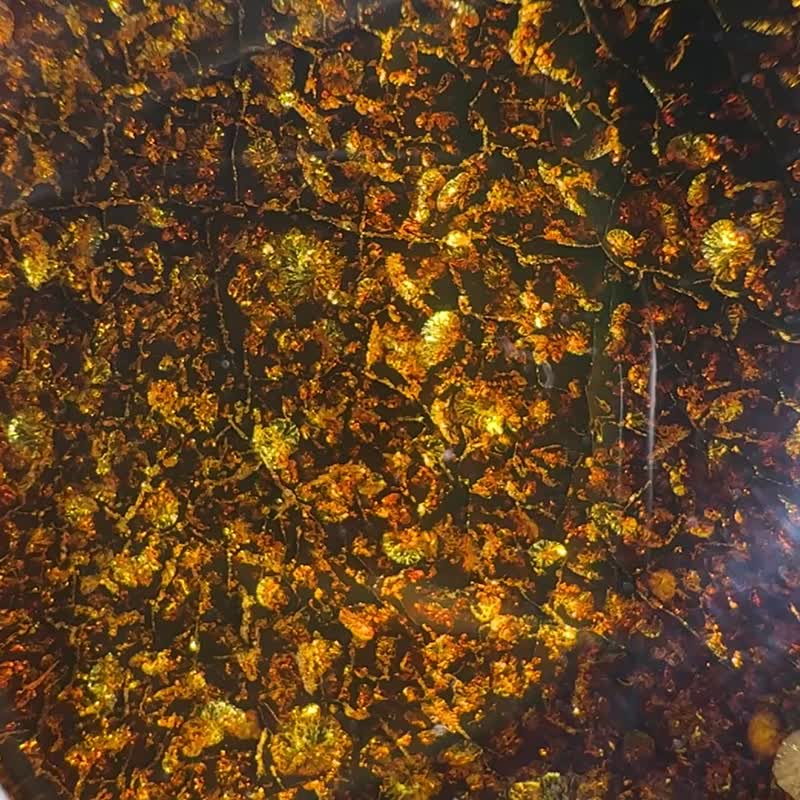 精緻的黃金琥珀吊墜 閃閃發光的天然烏克蘭珠寶   獨特的手工藝 - 項鍊 - 半寶石 金色