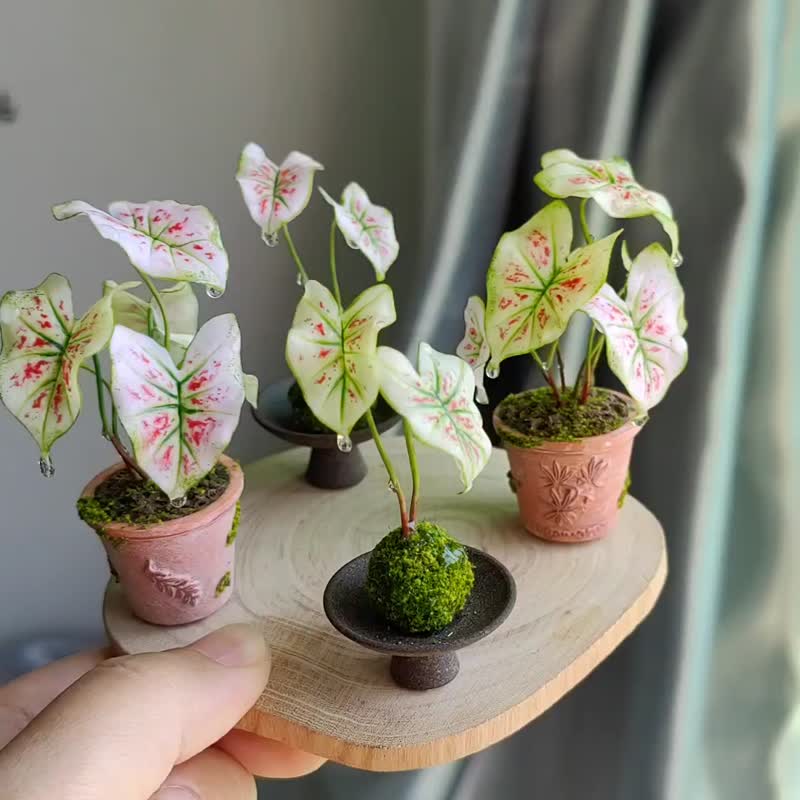 Miniature clay green plant potted strawberry heart caladium - ของวางตกแต่ง - ดินเหนียว สึชมพู