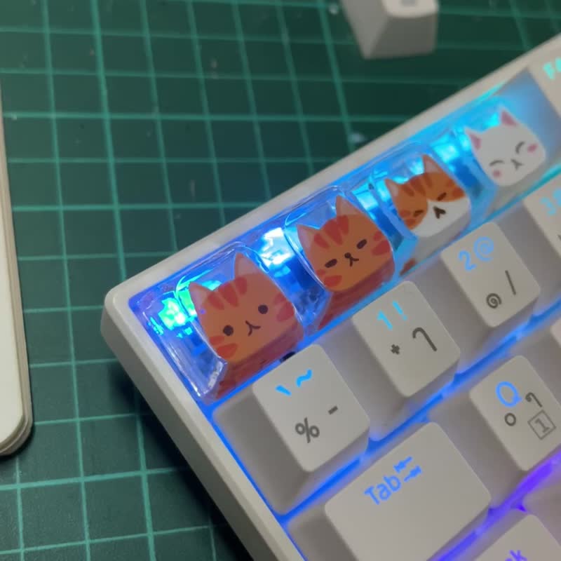 XDA keycap tabby cat (Crystal Clear) - 電腦配件 - 塑膠 透明