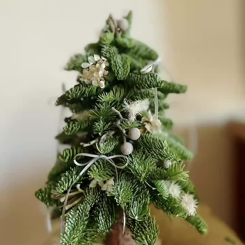 [Fresh Flower Gift] 2024 Fresh Nobel Pine Christmas Tree - ของวางตกแต่ง - พืช/ดอกไม้ หลากหลายสี