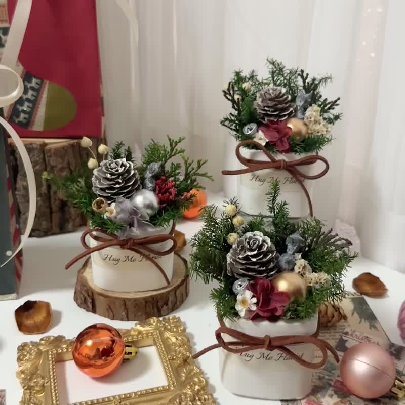 Everlasting cedar and pine cones in a small pot of Christmas flowers - ช่อดอกไม้แห้ง - พืช/ดอกไม้ สีเขียว