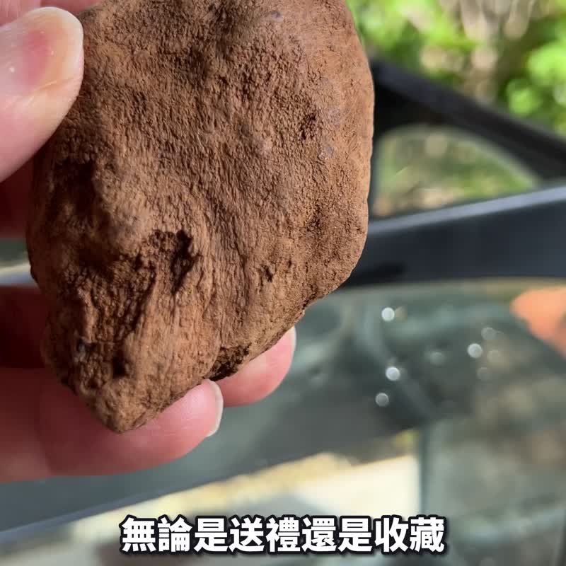 加里曼丹 野生沉香老料 57.5公克 沉香擺件 【沉水級】 星洲系 - 擺飾/家飾品 - 木頭 卡其色