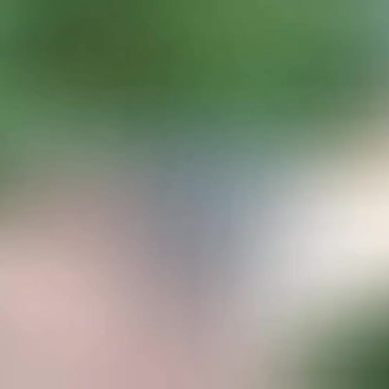 Bird & Bone hairpin 03 100% handmade, polymerclay approximately 4.5 inches. - 髮夾/髮圈 - 其他材質 灰色