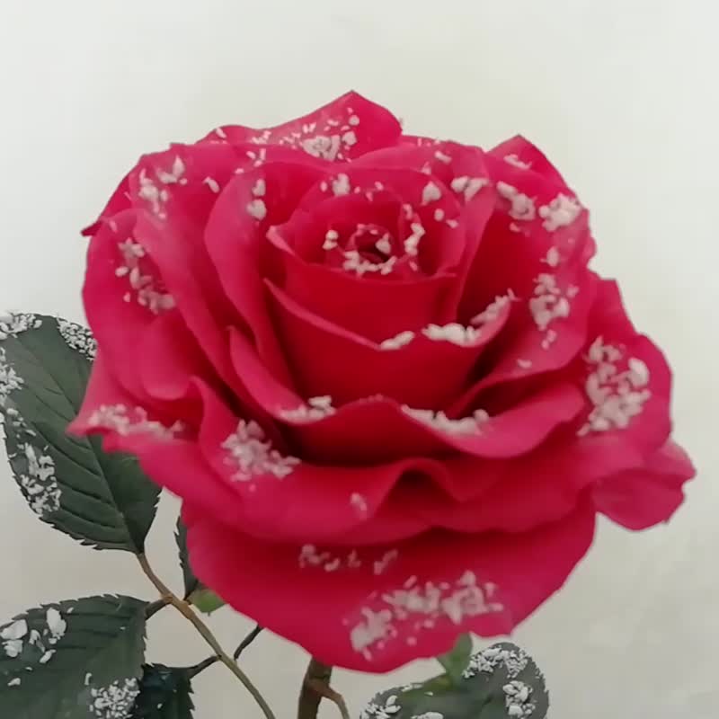 アーティフィシャルフラワーレッドローズ.手作りの一輪のスノーローズ。冬のインテリア 紅玫瑰花 - 置物 - その他の素材 レッド