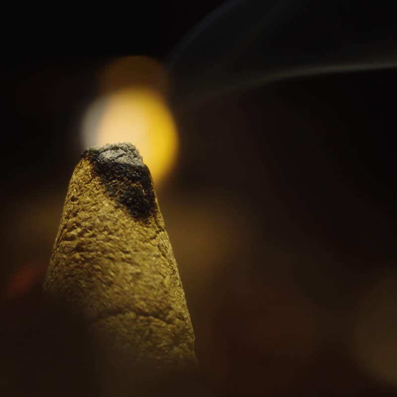 Palo Santo 優質秘魯聖木香塔_10入 - 香氛/精油/擴香 - 木頭 咖啡色