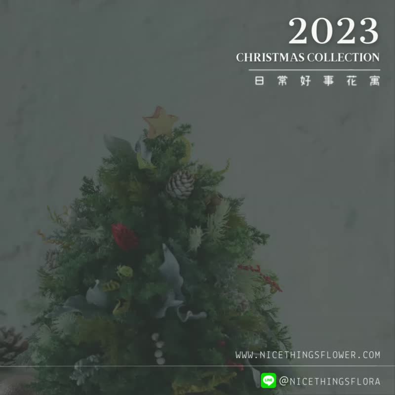 聖誕花藝課程 | 故事聖誕樹 2款選擇 - 植栽/花藝 - 植物．花 