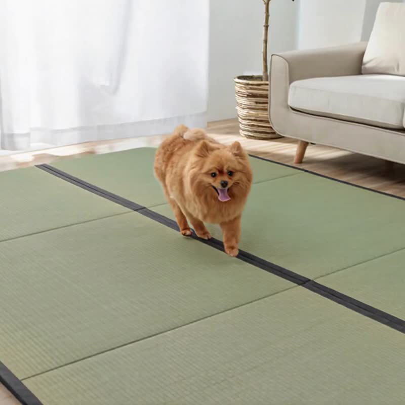 Water-Repellent Tatami Mat Rectangular - พรมปูพื้น - พืช/ดอกไม้ 