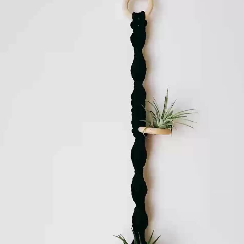 Air bromeliad plant woven hanging - Plants - Cotton & Hemp Black