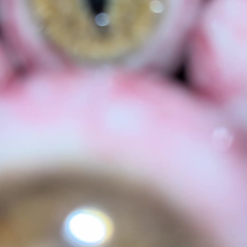 眼球可做項鍊或掛飾 - 項鍊 - 其他材質 