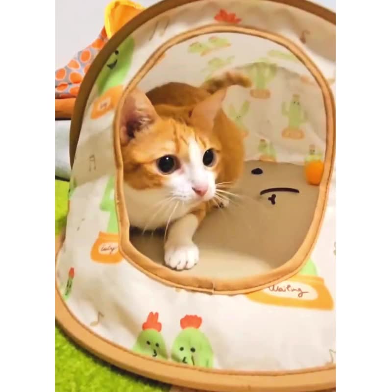 Compact Folding Tent (Small) - Alley Cafe Cat Pet Tent Special Pets in 8 Colors - ที่นอนสัตว์ - ไฟเบอร์อื่นๆ สีส้ม