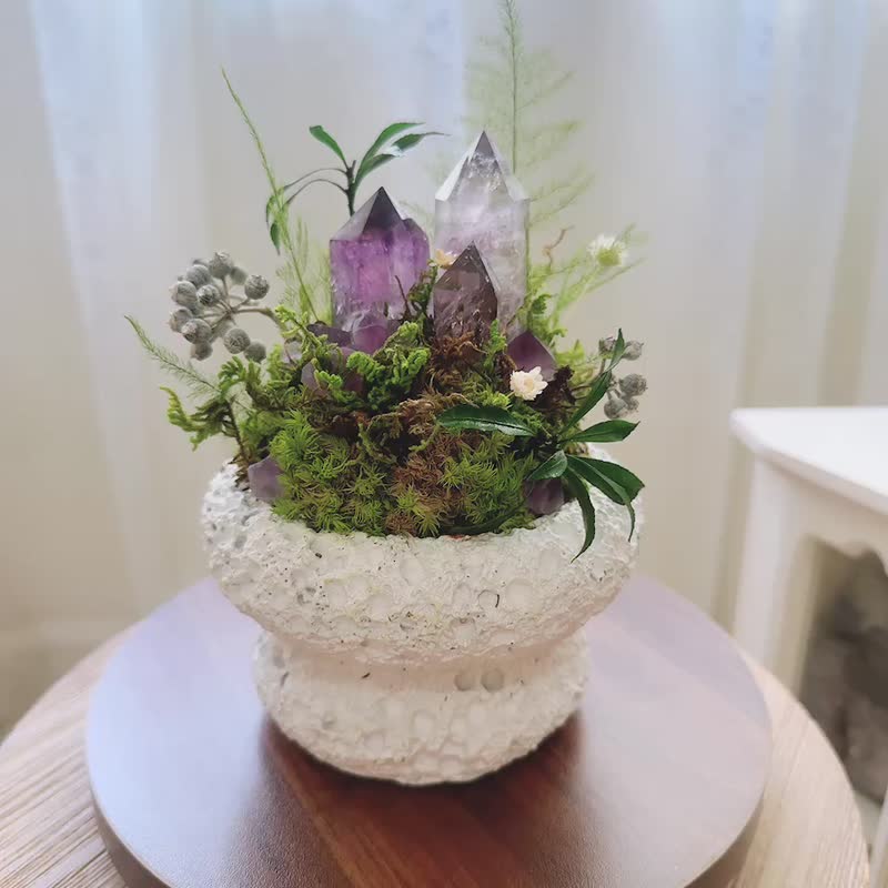 紫水晶 原野小山丘。永生葉材綠植栽 - 植栽/盆栽 - 水晶 紫色
