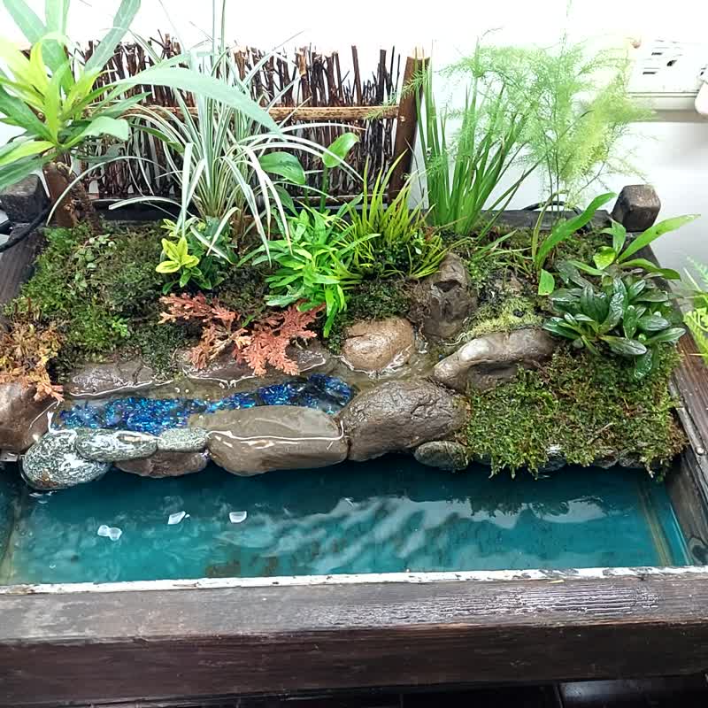 綠頭鴨池塘戲水盆景 - 植栽/盆栽 - 玻璃 